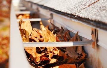 Woodrow gutter cleaning companies