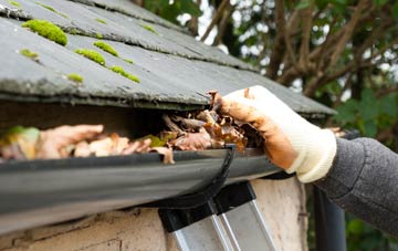 gutter cleaning Woodrow