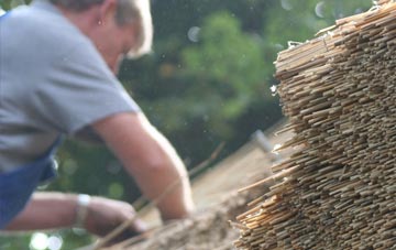 professional Woodrow thatchers